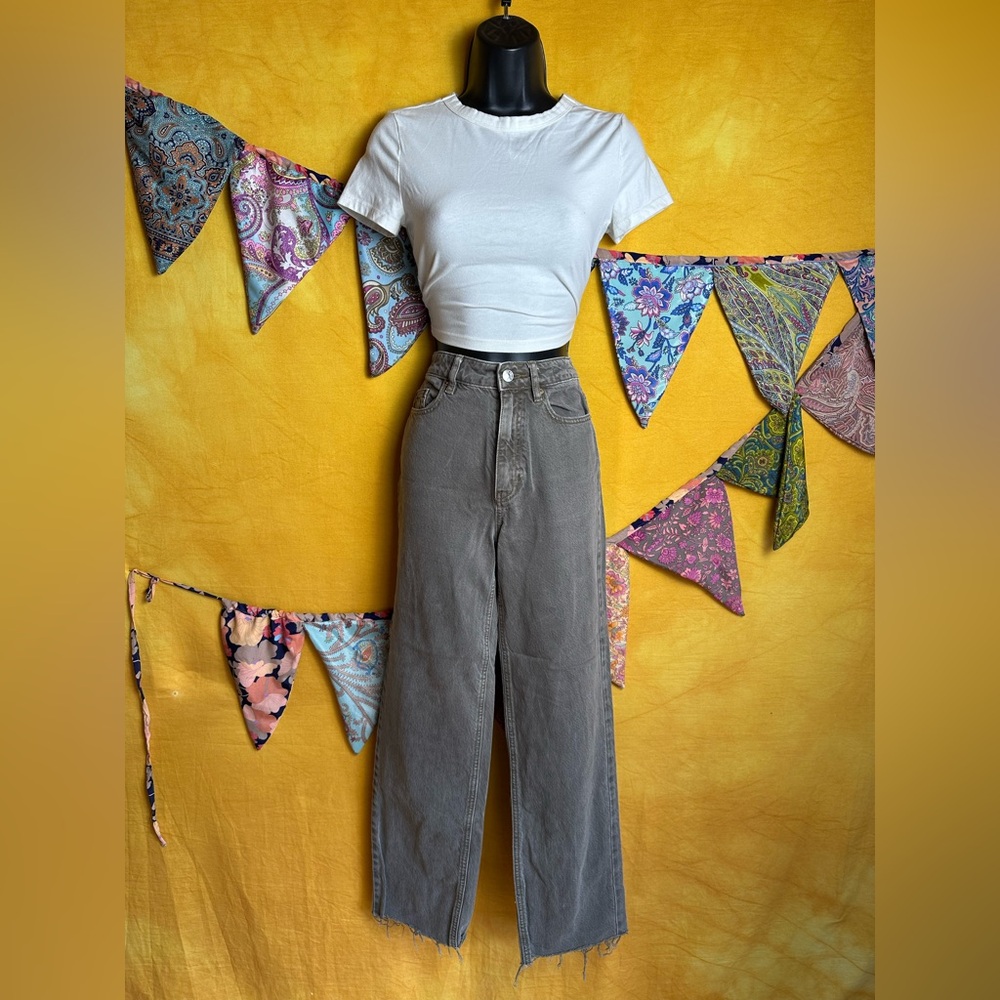 Pacsun 90’s Boyfriend High Waisted Brown High-Waisted Jeans 24”